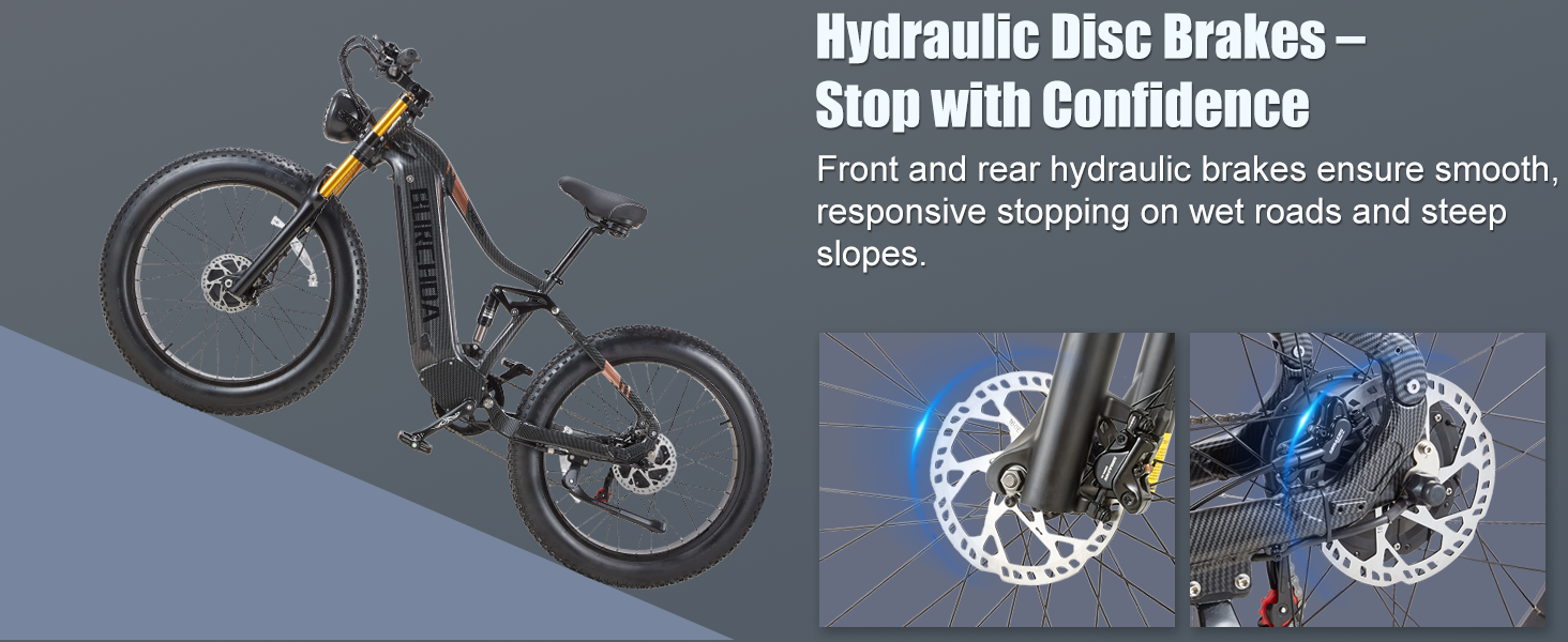 Hydraulic disc  brakes