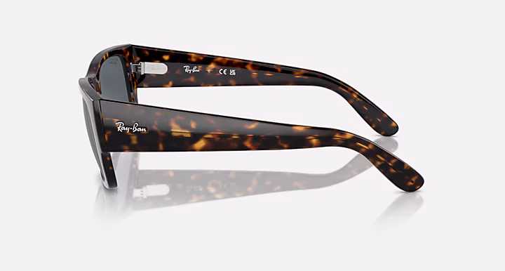 Ray-Ban CARLOS
