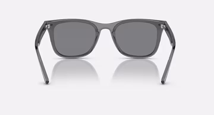 Ray-Ban RB4391D