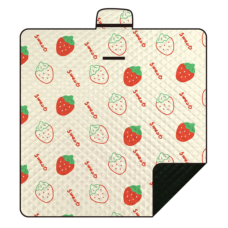 Outdoor Picnic Mat Waterproof Durable  Mat Floor Mat Portable Storage Picnic for Camping