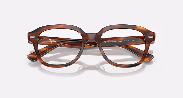 Ray-Ban ERIK OPTICS