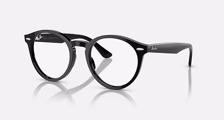 Ray-Ban LARRY OPTICS