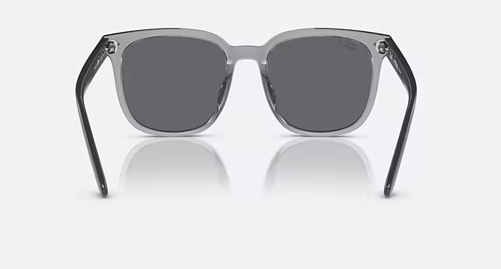 Ray-Ban RB4401D