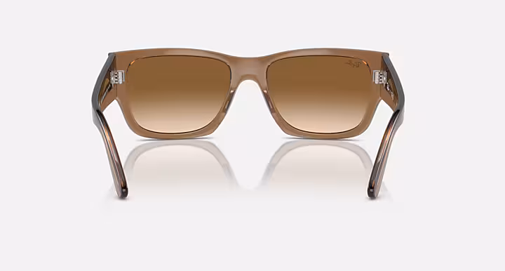 Ray-Ban CARLOS