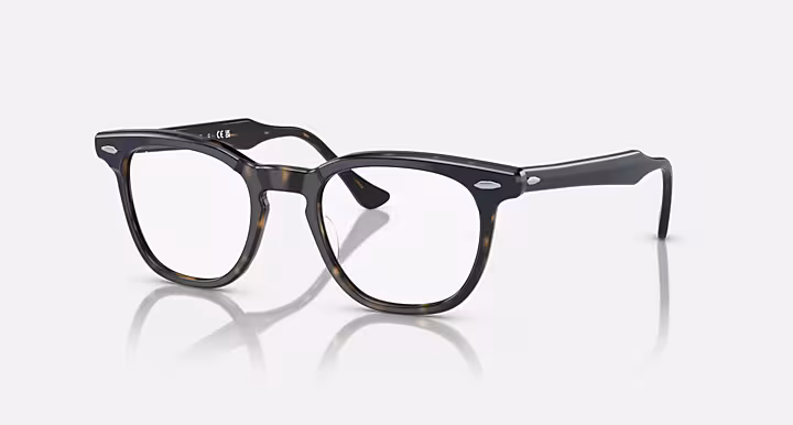 Ray-Ban HAWKEYE OPTICS