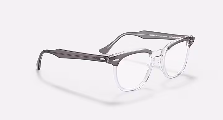 Ray-Ban HAWKEYE OPTICS