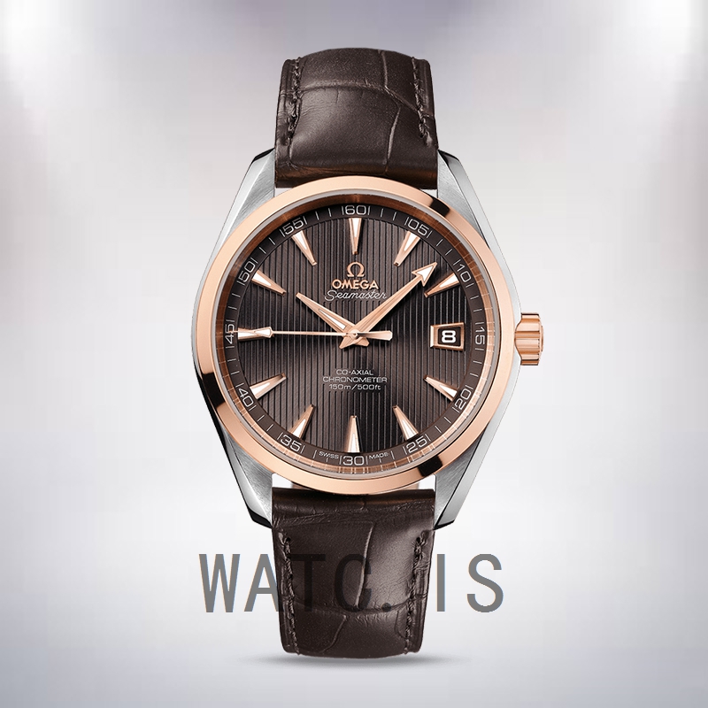 Omega Seamaster 41mm 231.23.42.21.06.001 Men Brown Dial