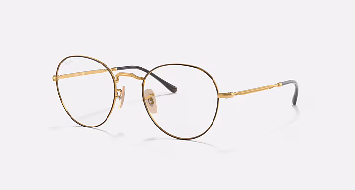 Ray-Ban ROUND METAL OPTICS II