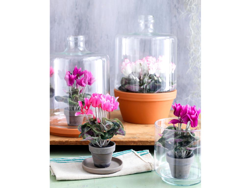Planta artificial de Poliéster y terracota - 30 x Ø30 - Rosa oscuro - CYCLAMEN