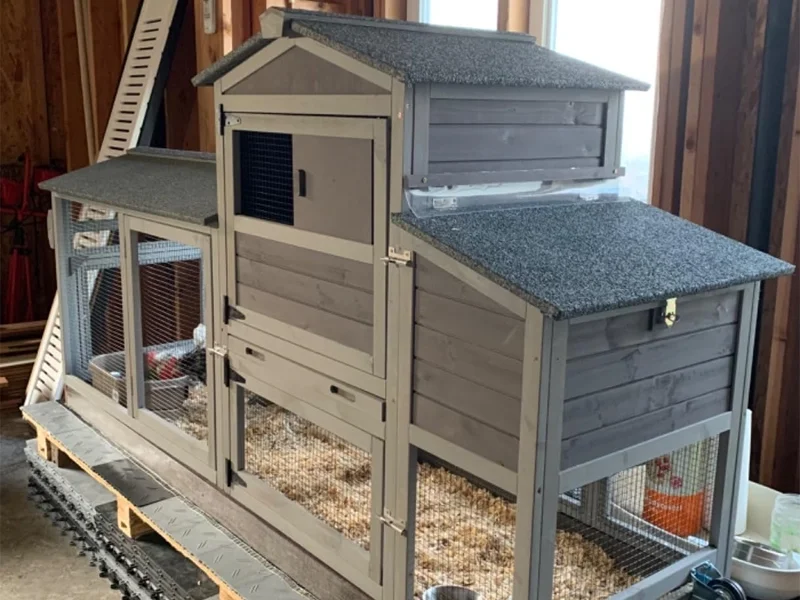 MEDEHOO 80" Mobile Chicken Coop with Wheels - Weatherproof Wooden Hen House, Outdoor Poultry Cage & Nesting Box Run, Expandable Design - Image 10
