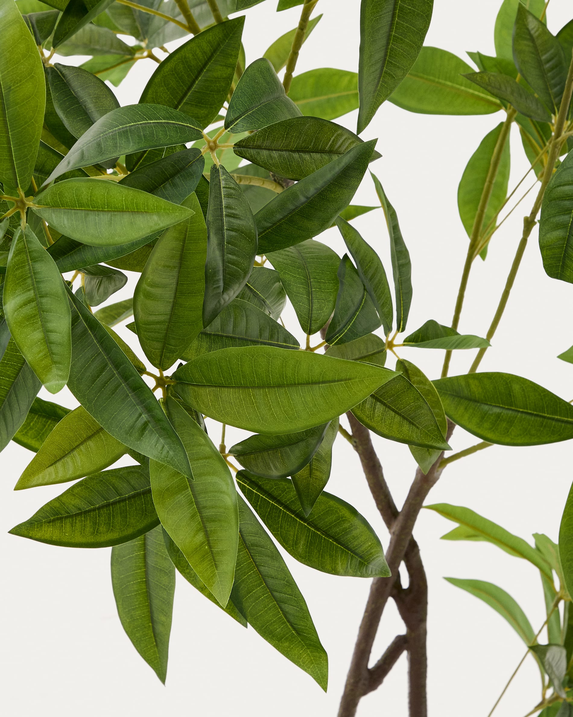 Kave Home - Kunstboom Pachira met zwarte pot 180 cm