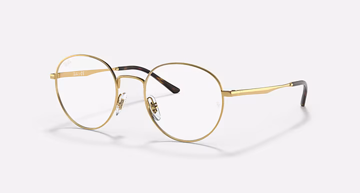 Ray-Ban RB3681 OPTICS