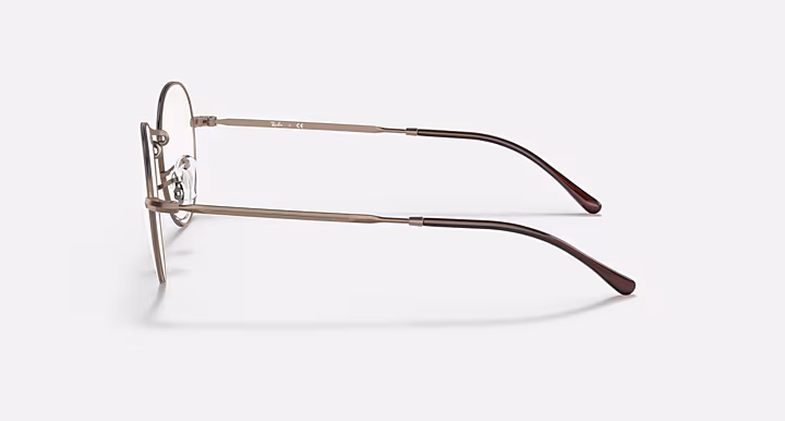 Ray-Ban ROUND METAL OPTICS II