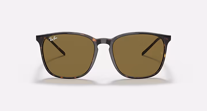 Ray-Ban RB4387