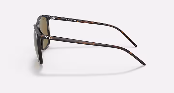 Ray-Ban RB4387