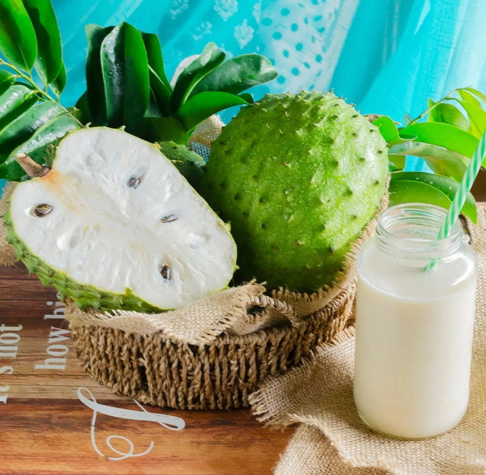 Soursop 'Guanabana' TREE. Ships free to all states in 3 gallons pot. - Image 2
