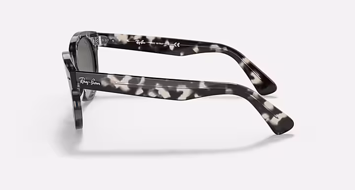 Ray-Ban ORION