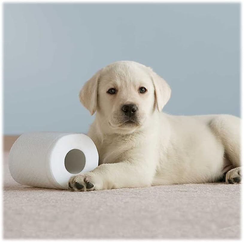 Clean Care Bathroom Tissue