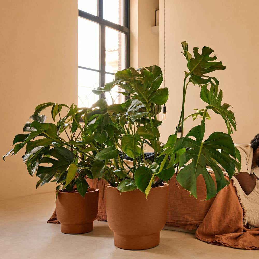 Elho Amber Grail 30 - Karamel - L 30 x B x H 28 cm - Binnen en Buiten