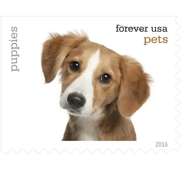 2016 Pets Forever Stamps - First-Class Stamps Booklets(25 Booklets/500 Pcs)