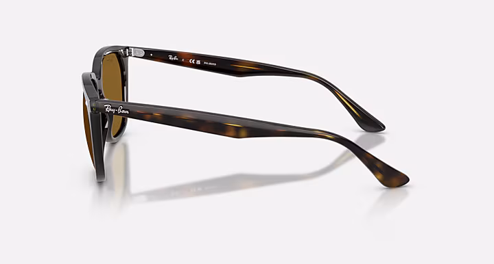 Ray-Ban RB4362