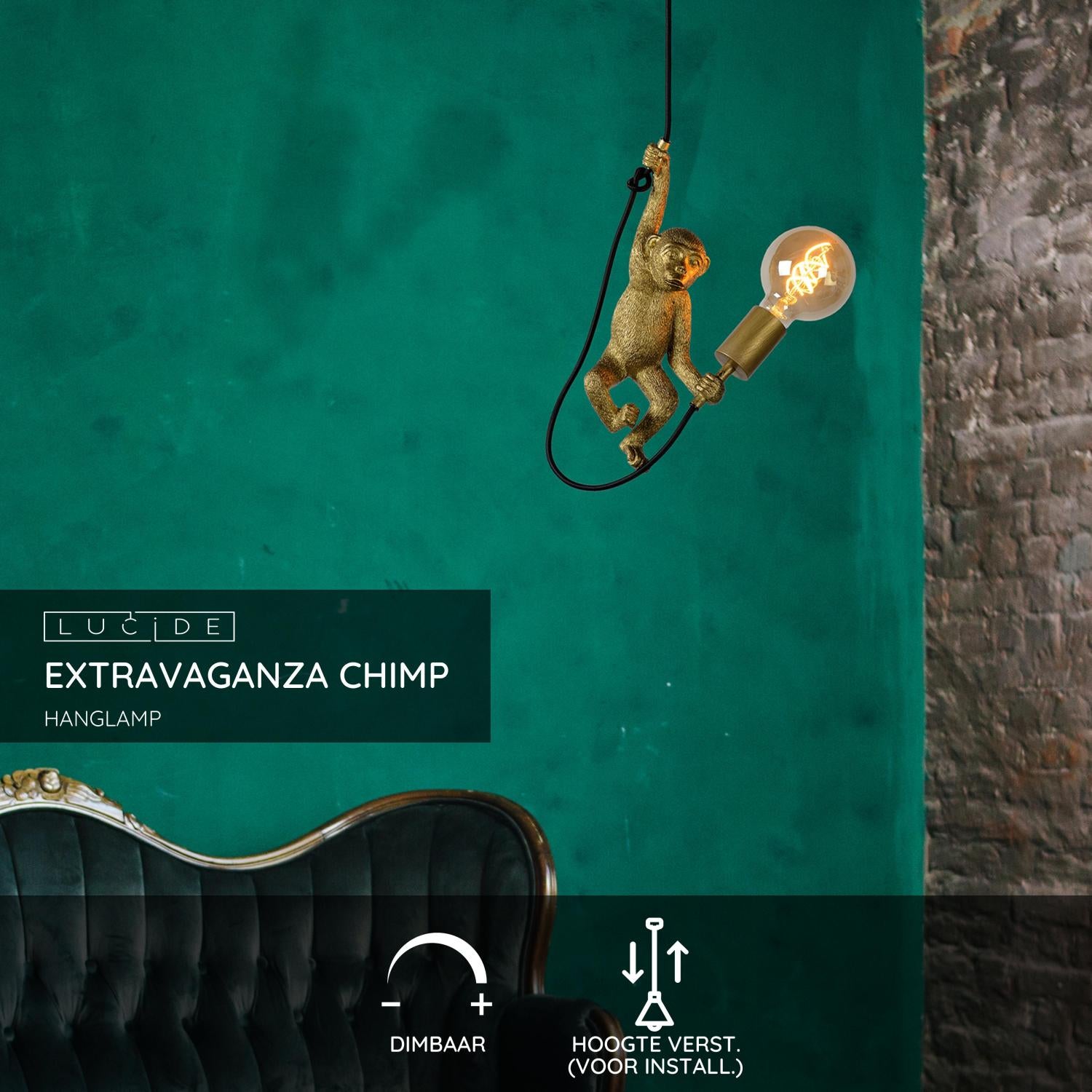 Lucide EXTRAVAGANZA CHIMP Hanglamp - Zwart