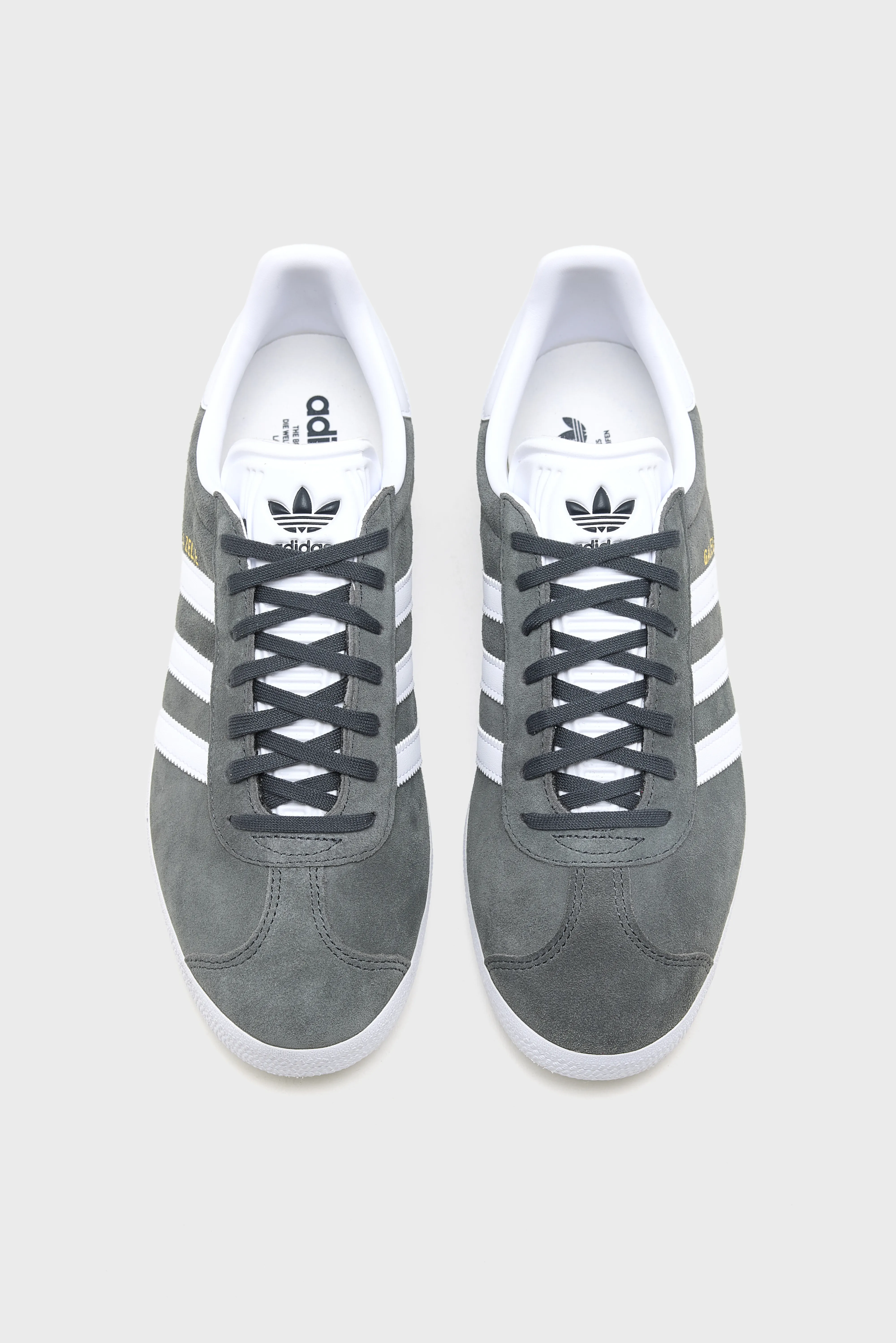Bellerose Gazelle for Men  (261 / M / DARK GREY)