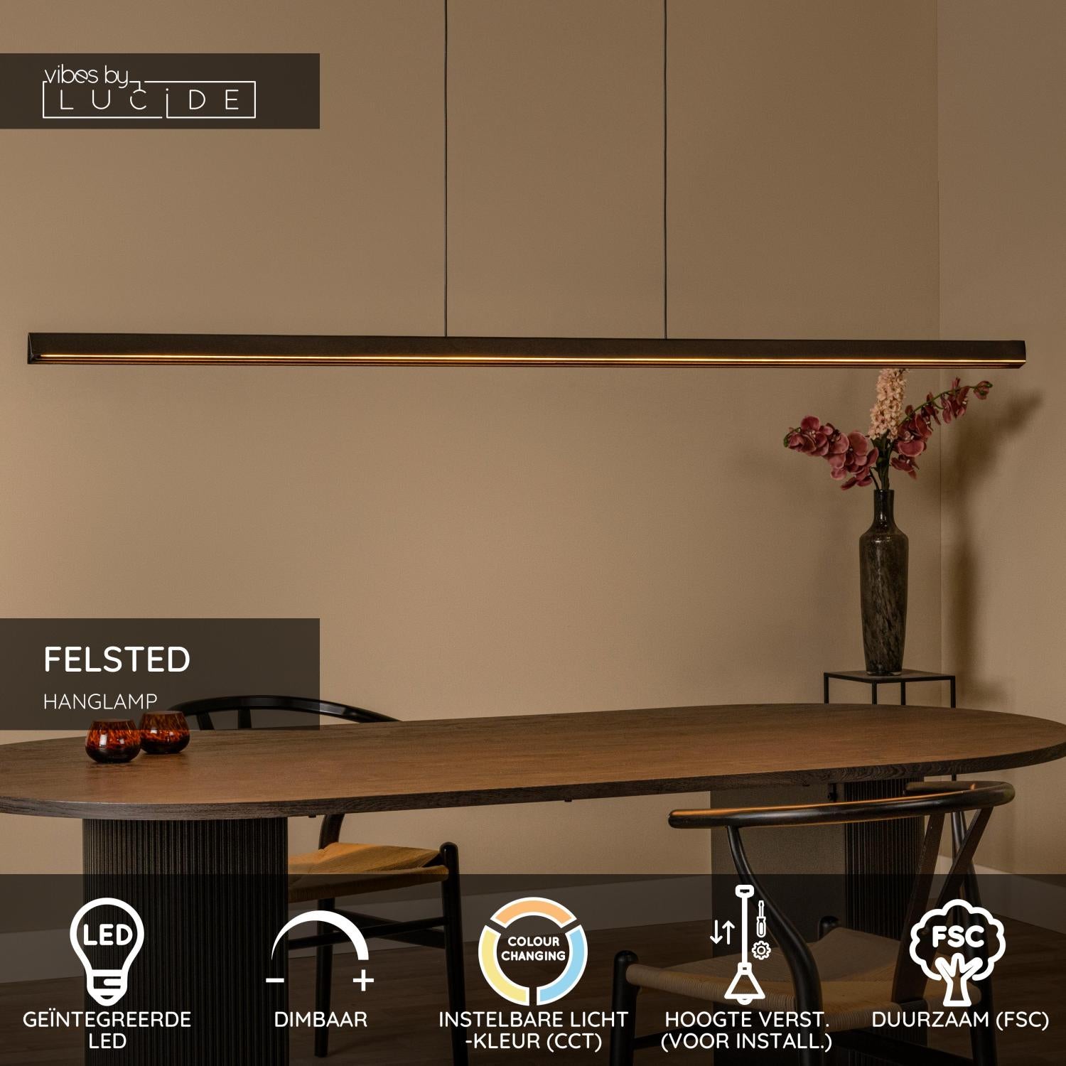 Lucide FELSTED Hanglamp - Zwart