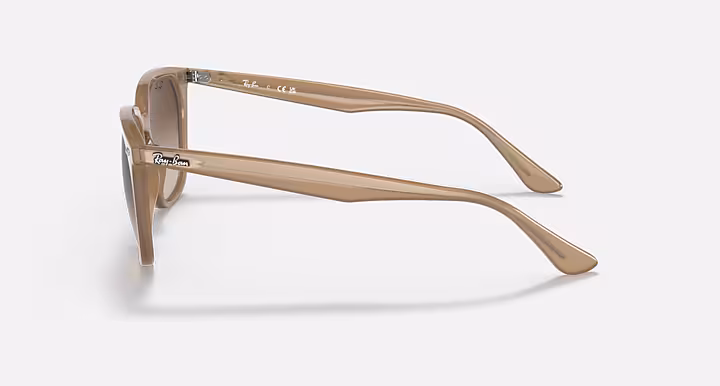 Ray-Ban RB4362