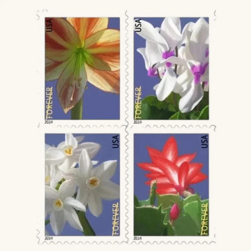 2014 Winter Flowers First Class- Forever Postage Stamps(100 Stamps 5 Books)