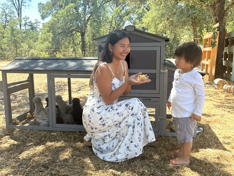 MEDEHOO 80" Mobile Chicken Coop with Wheels - Weatherproof Wooden Hen House, Outdoor Poultry Cage & Nesting Box Run, Expandable Design - Image 9