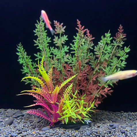 Fish Tank Decoration Artificial Aquarium Plant Plastic Water Plant