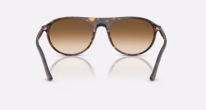 Ray-Ban RB2215