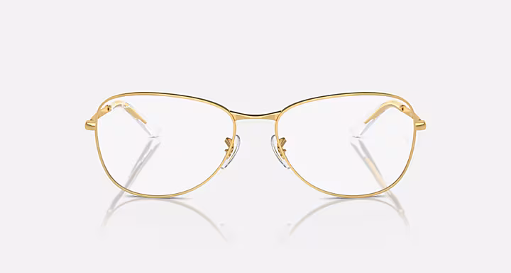 Ray-Ban RB3733V OPTICS