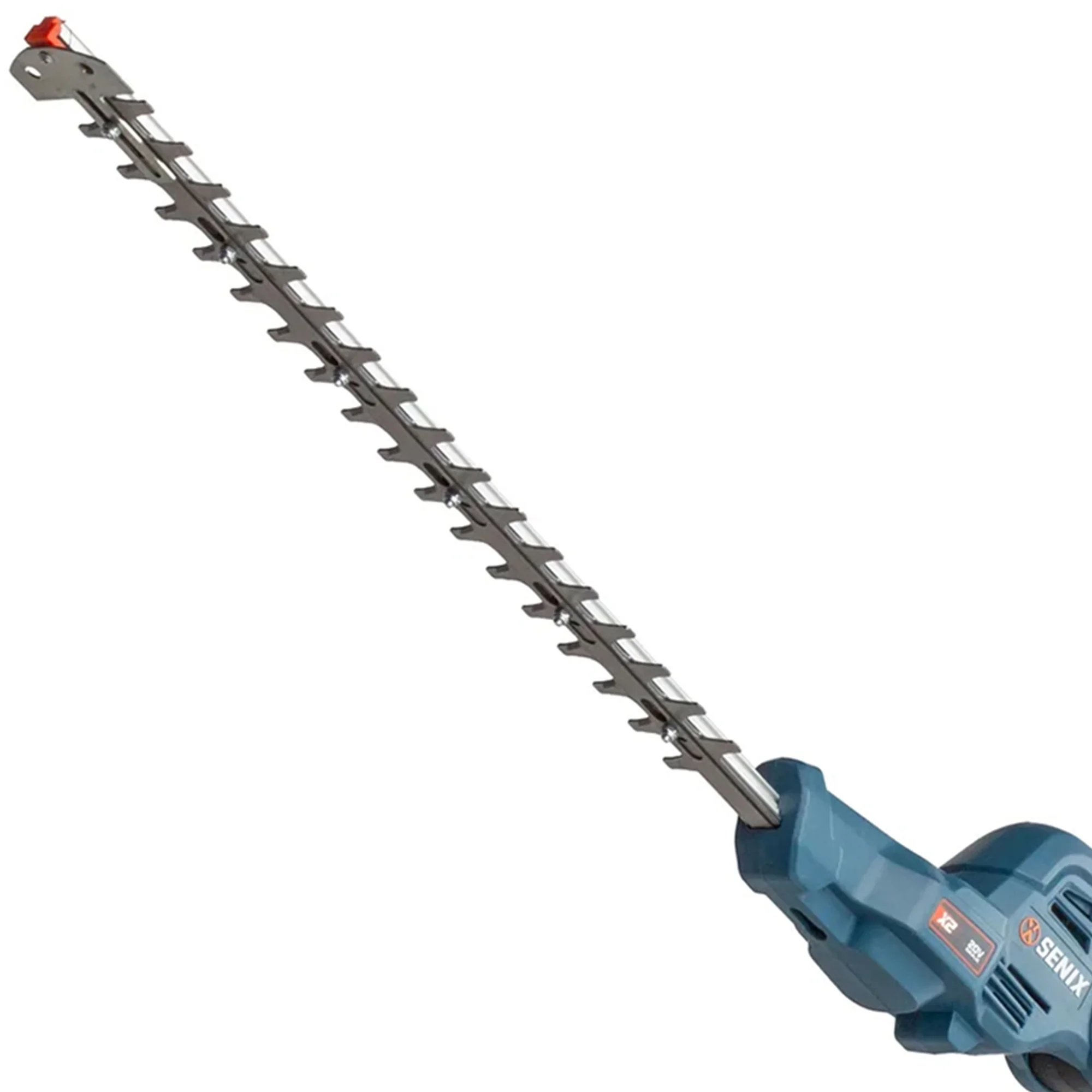 SENIX 20 Volt Max* Cordless Pole Hedge Trimmer 18-Inch Cutting / 21-inch Blade Length with Adjustable Head & Telescoping Shaft, Battery & Charger included, HTPX2-M - Image 16
