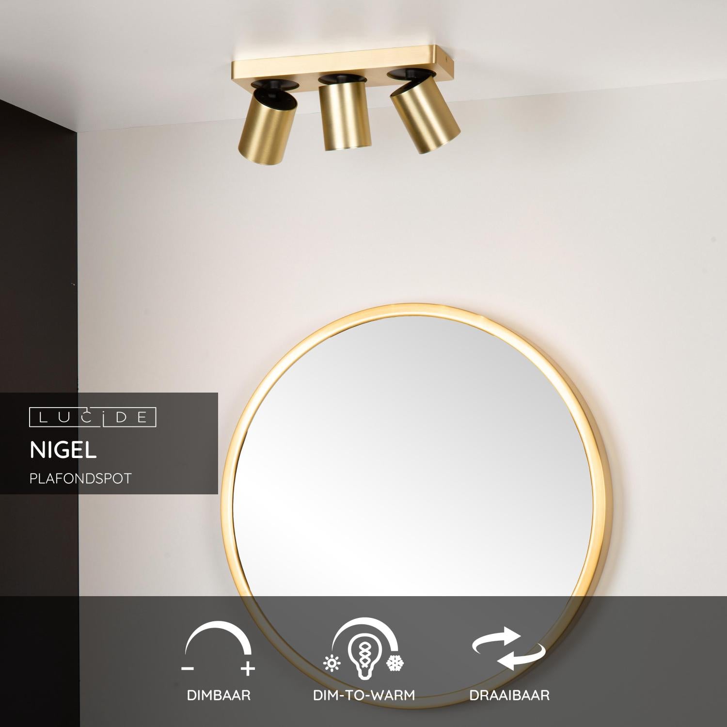Lucide NIGEL Plafondspot - Mat Goud   Messing