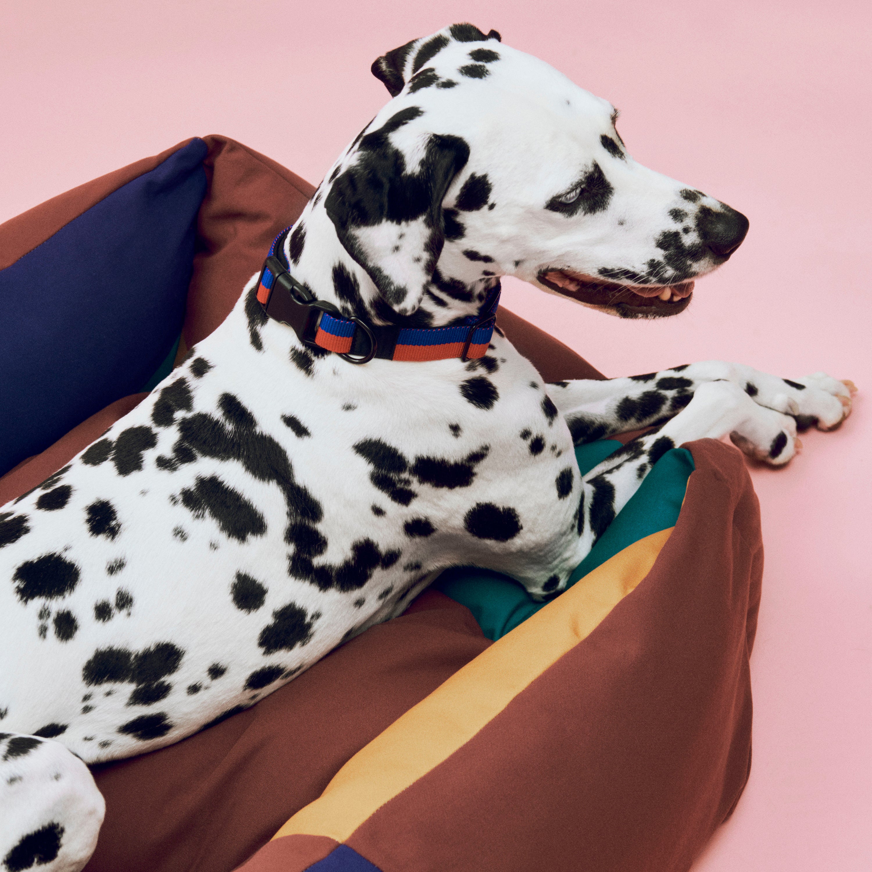 HAY Dogs Hondenbed Medium - Multi