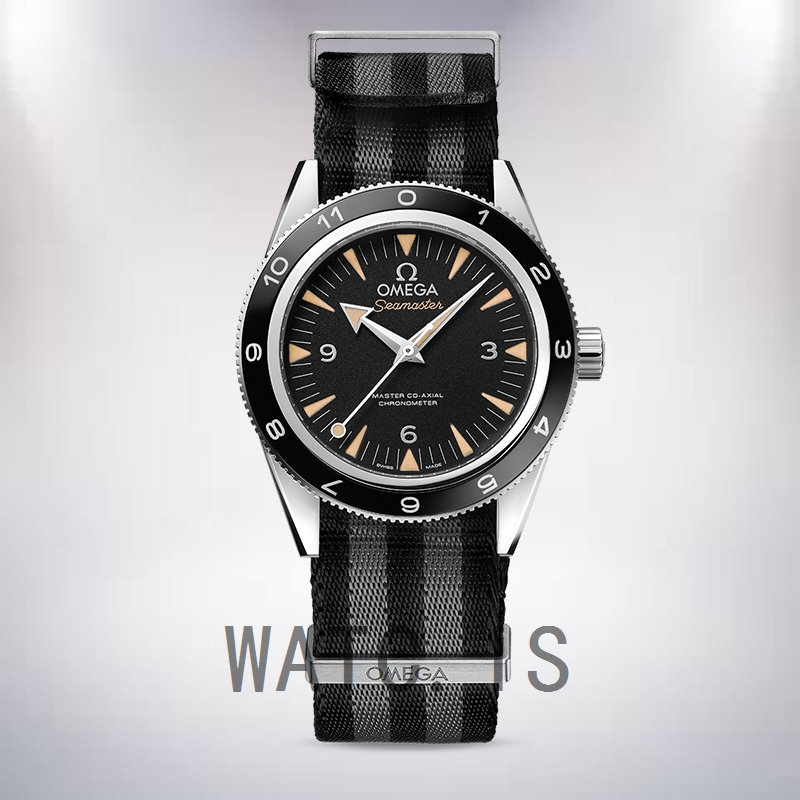Omega Seamaster 41mm 233.32.41.21.01.001 Men Black Dial