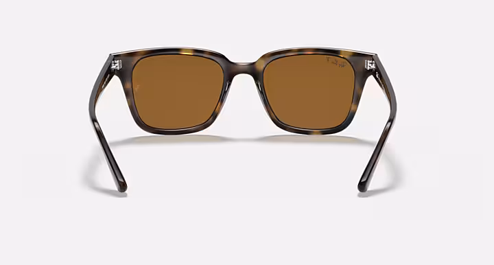 Ray-Ban RB4323