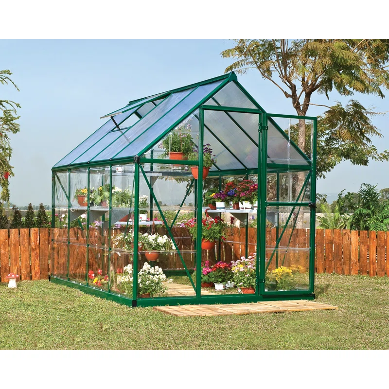 WAYFAIR Hybrid 6 Ft W X 8 Ft D Hobby Greenhouse
