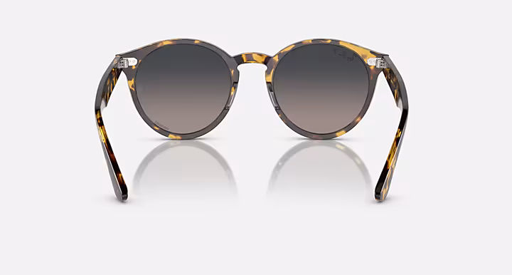 Ray-Ban LARRY