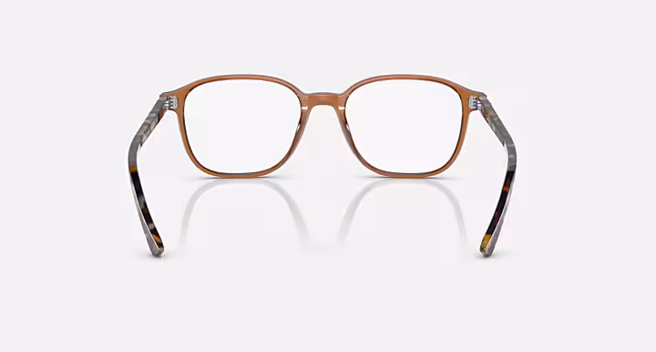 Ray-Ban LEONARD OPTICS