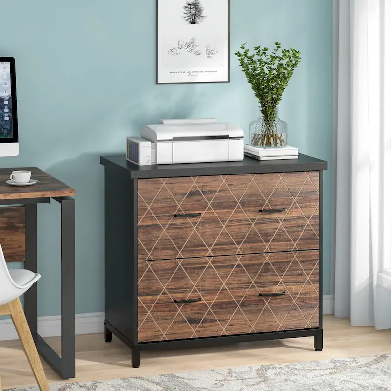 2-Drawer Lateral File Cabinet for Office Organization