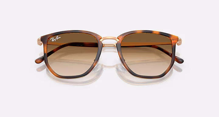 Ray-Ban RB4451
