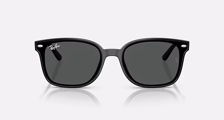 Ray-Ban RB4461D