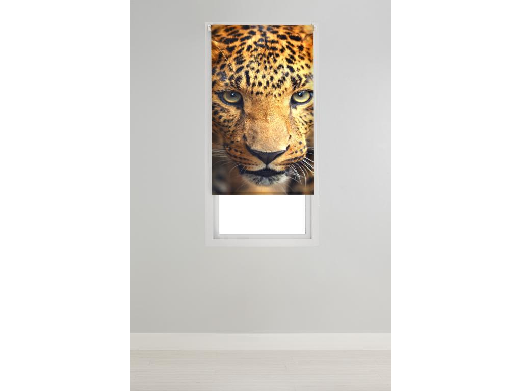 Hogarlujo | Estores Personalizados Easyfix ANIMALES | 75 x 150 cm (Ancho por Alto) Tamaño de Tela 72 x 150 cm | Modelo A-122 Color Unico