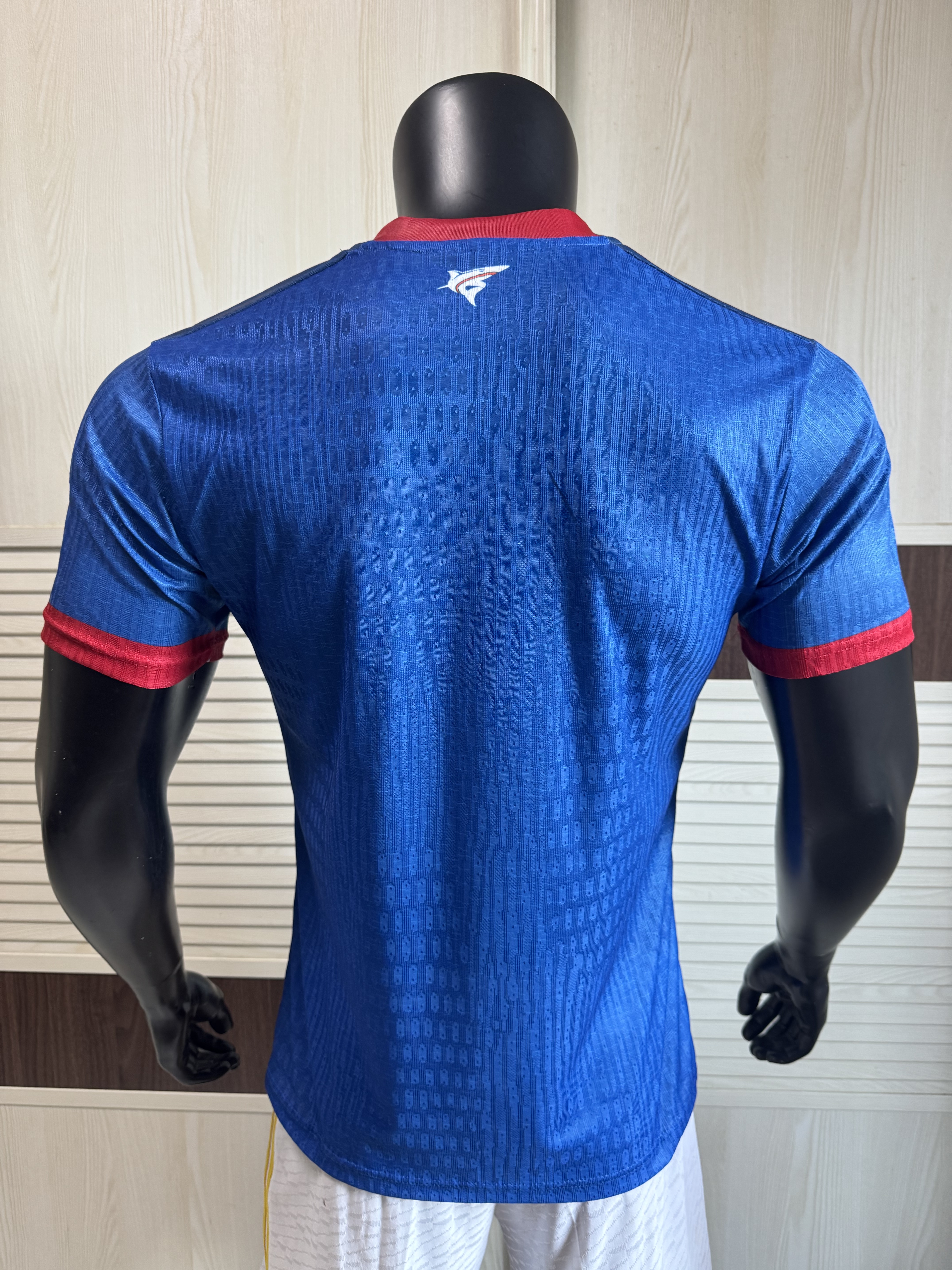 2026 FIFA World Cup National Team Player Quick-Dry Football Jersey