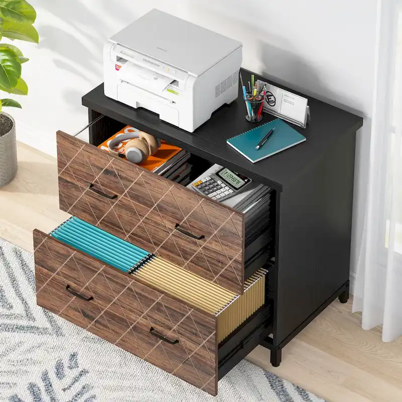 2-Drawer Lateral File Cabinet for Office Organization