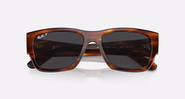 Ray-Ban CARLOS