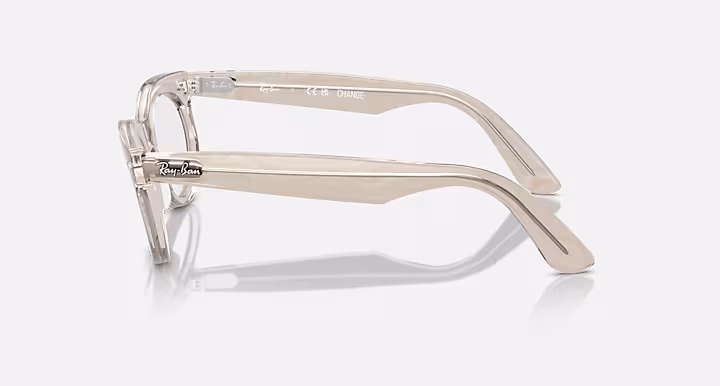 Ray-Ban WAYFARER OVAL OPTICS CHANGE